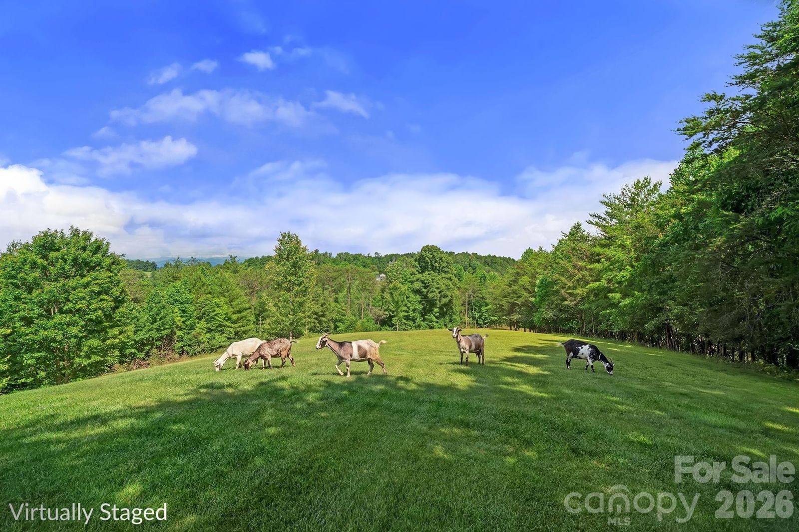 56 Gudger Road, Leicester, NC 28748 - Photo 3