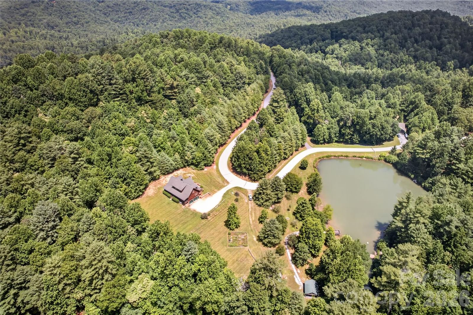 335 Whites Lake Boulevard, Saluda, NC 28773 - Photo 3