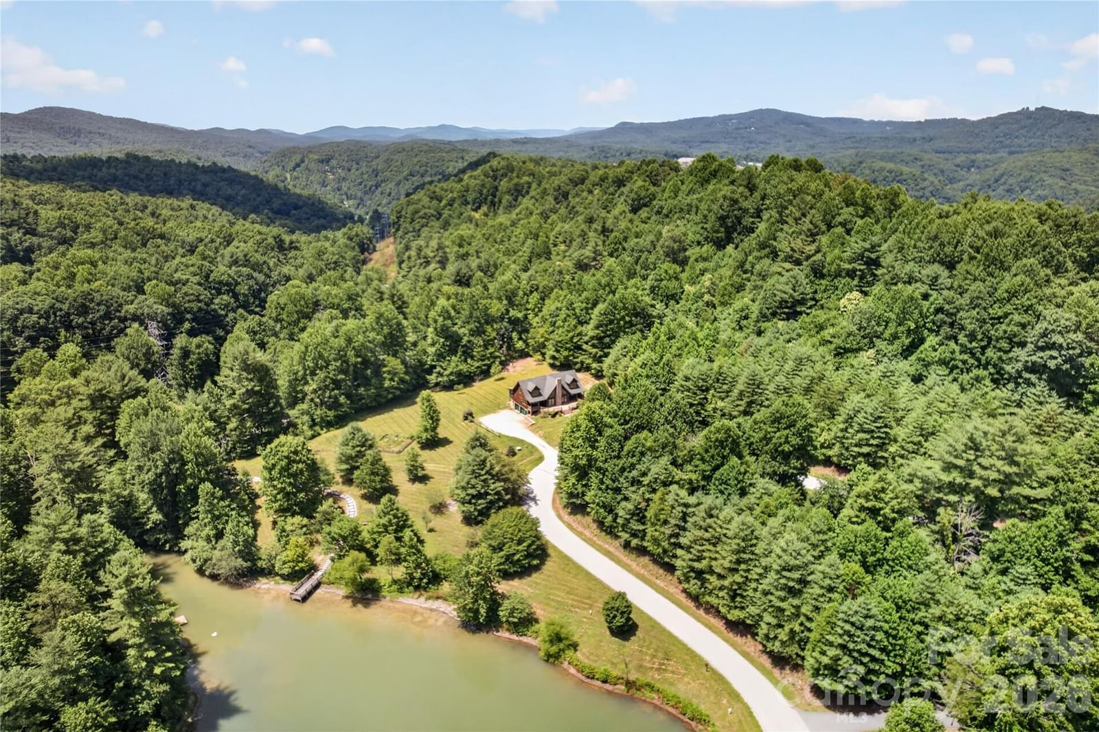 335 Whites Lake Boulevard, Saluda, NC 28773 - Photo 4