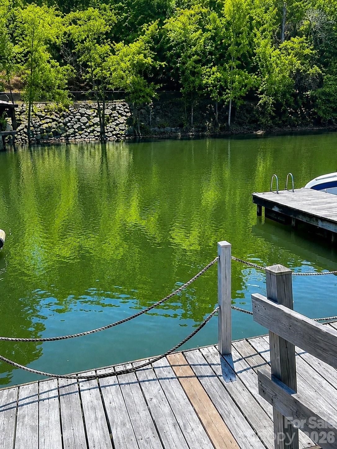 26049 Neptunes Landing, Tega Cay, SC 29708 - Photo 2