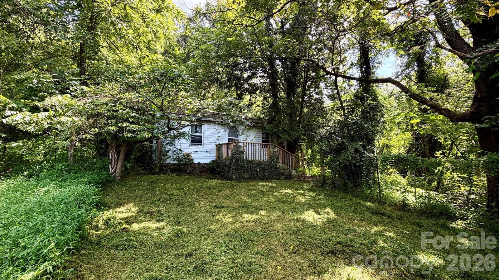 20 Utopia Road, Asheville, NC 28805 - Photo 4