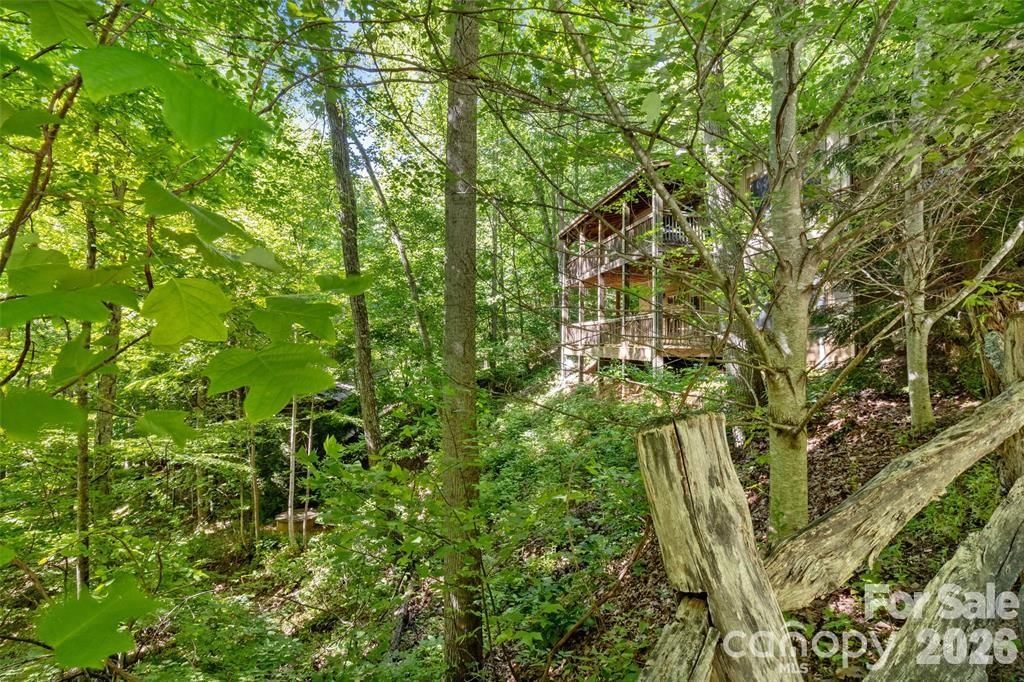 47 Falls Crossing Road, Burnsville, NC 28714 - Photo 4