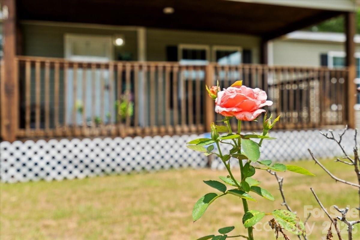 187 Central Place Lane, Pageland, SC 29728 - Photo 2
