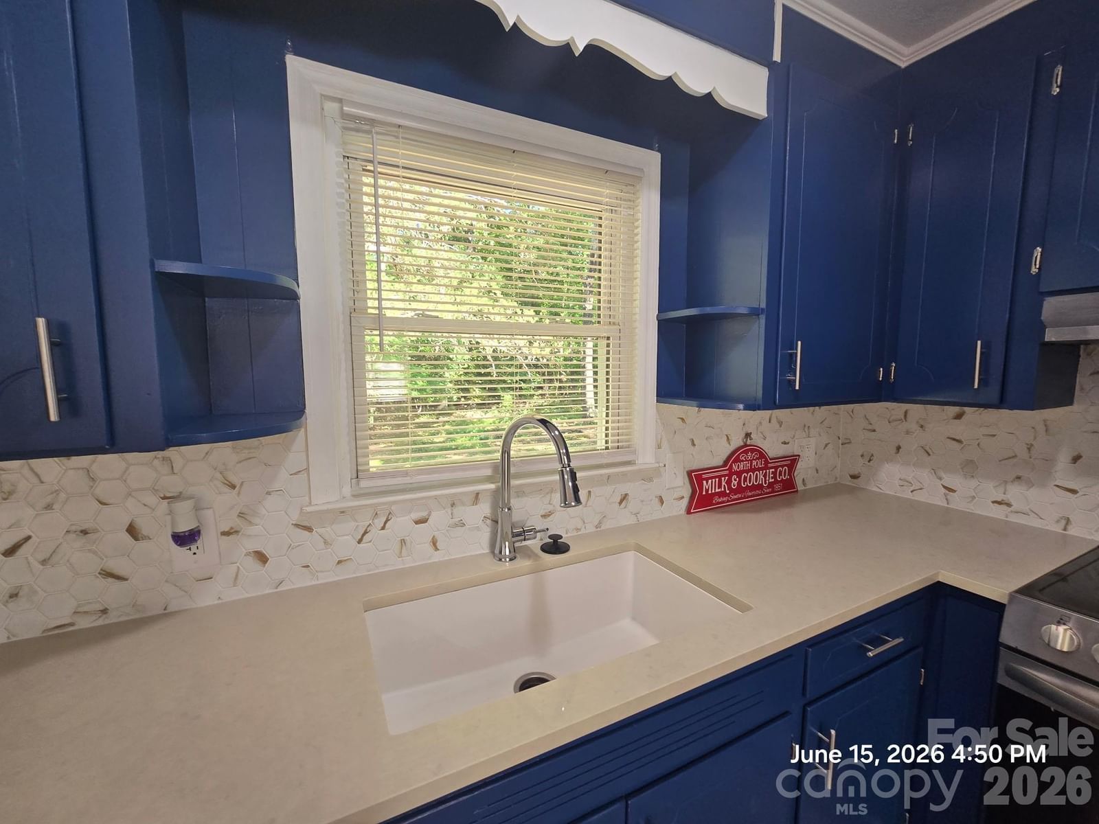 1050 South Lake Drive, Lancaster, SC 29720 - Photo 3