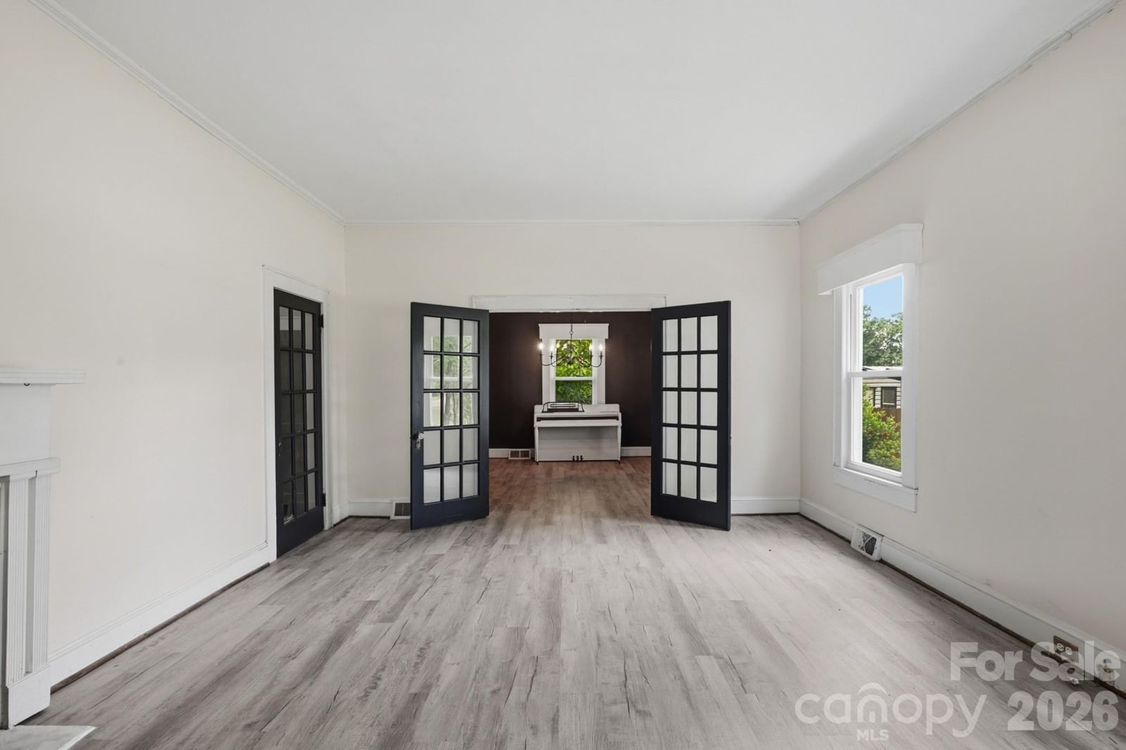 315 Blakeney Street, Pageland, SC 29728 - Photo 4