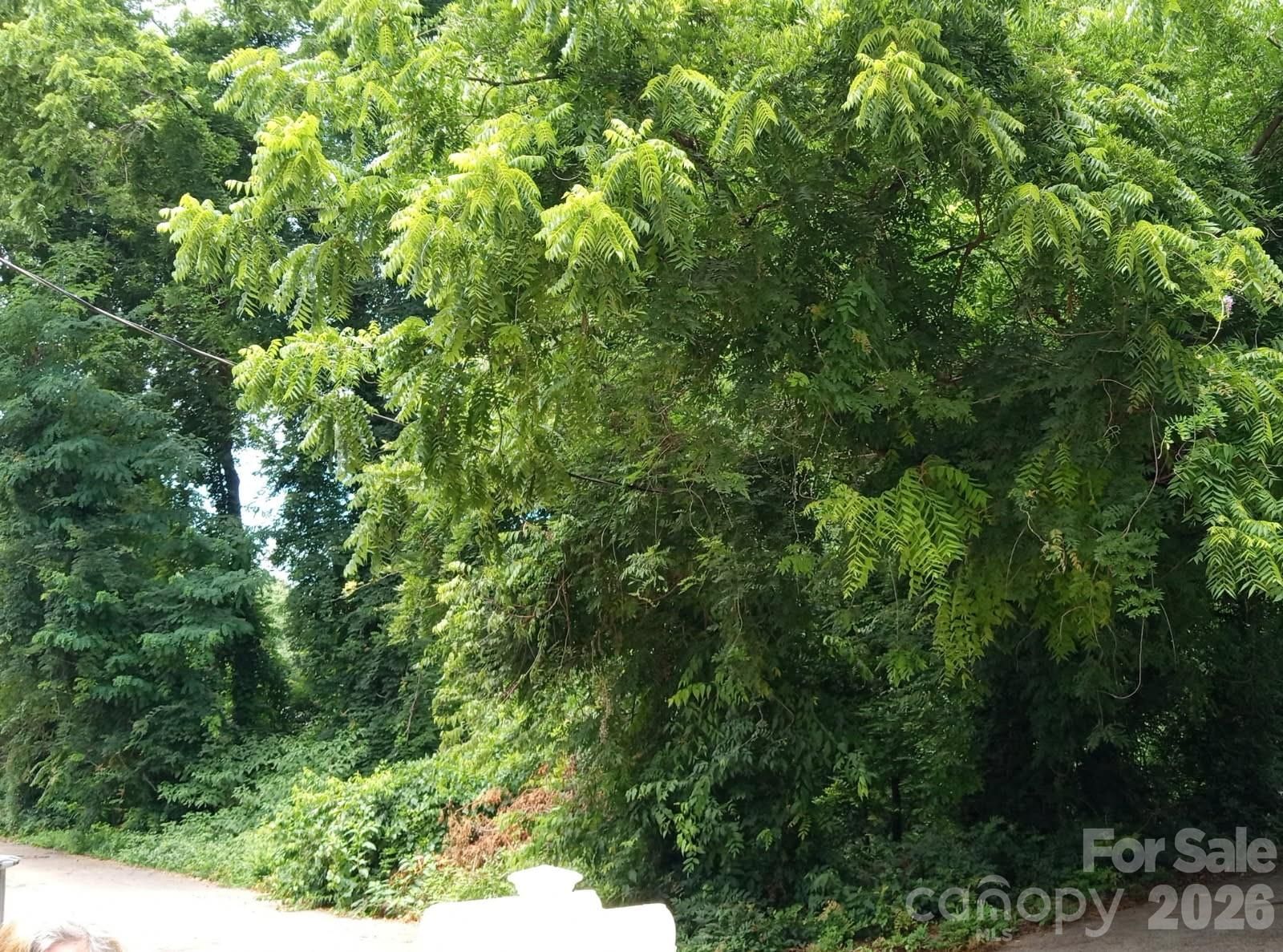 Property at 000 Ann #170, Belmont, NC 28012