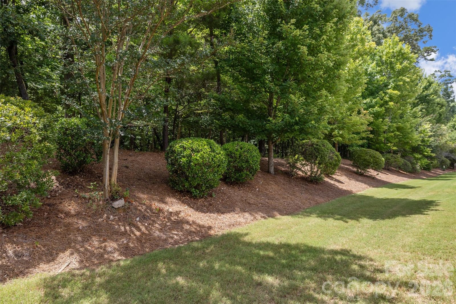 9015 Smokey Hill Lane, Indian Land, SC 29707 - Photo 4