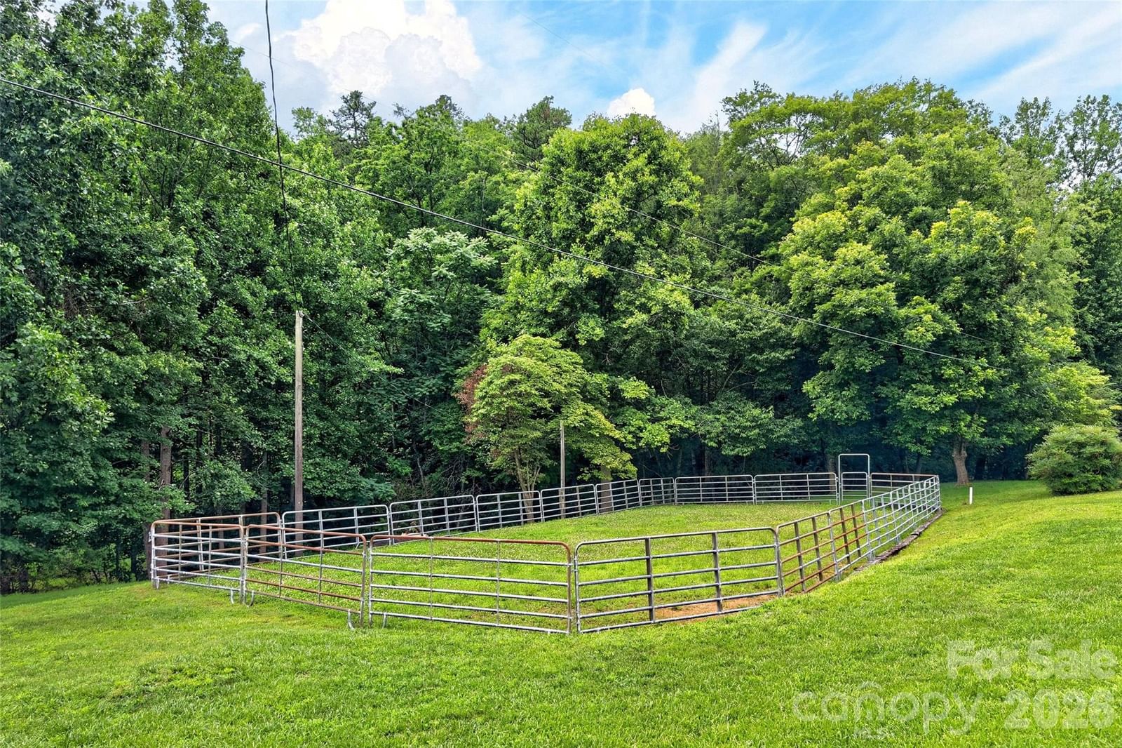 664 Paxton Creek Road, Marion, NC 28752 - Photo 4