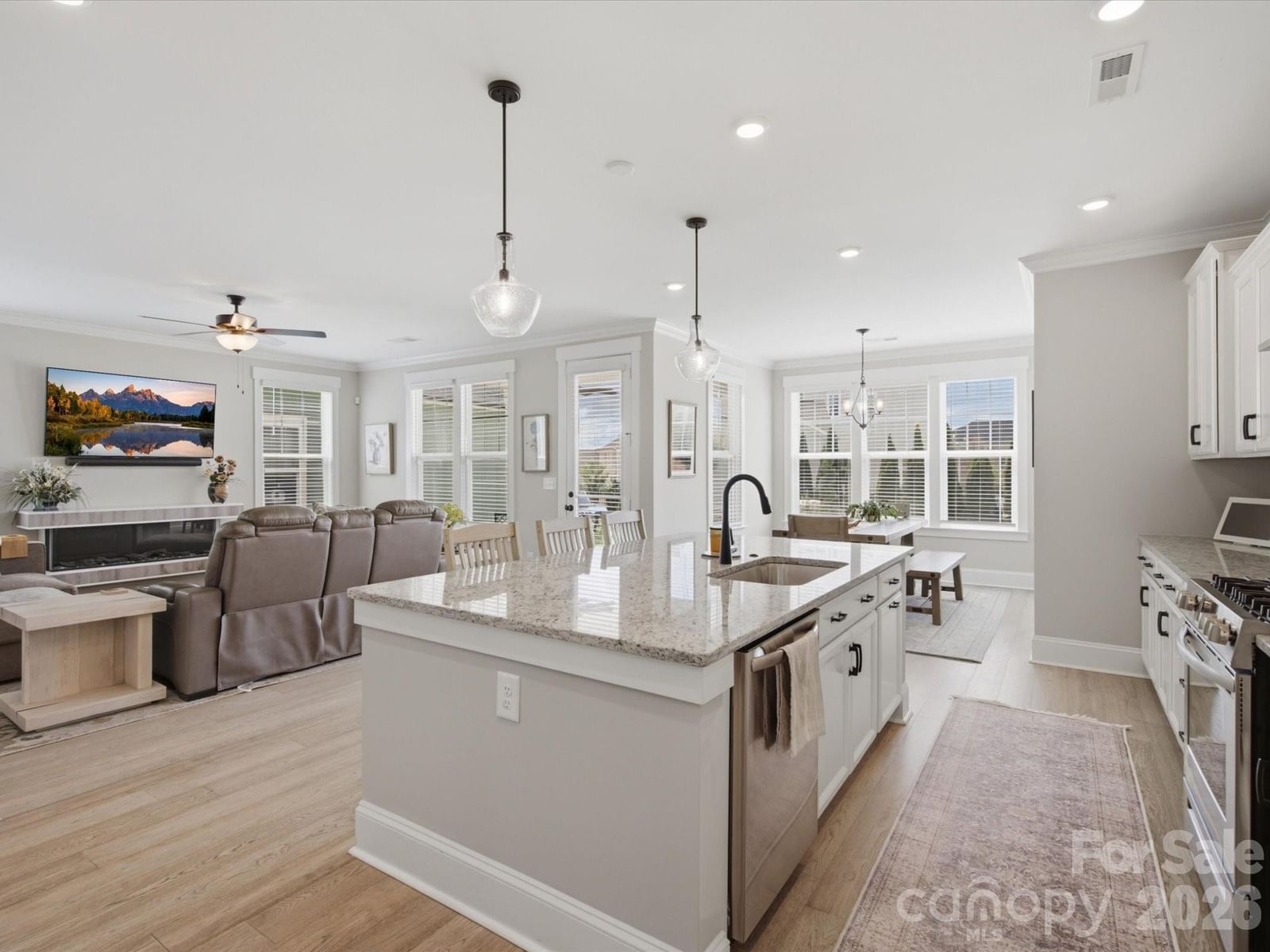 364 Luray Way, Rock Hill, SC 29730 - Photo 4