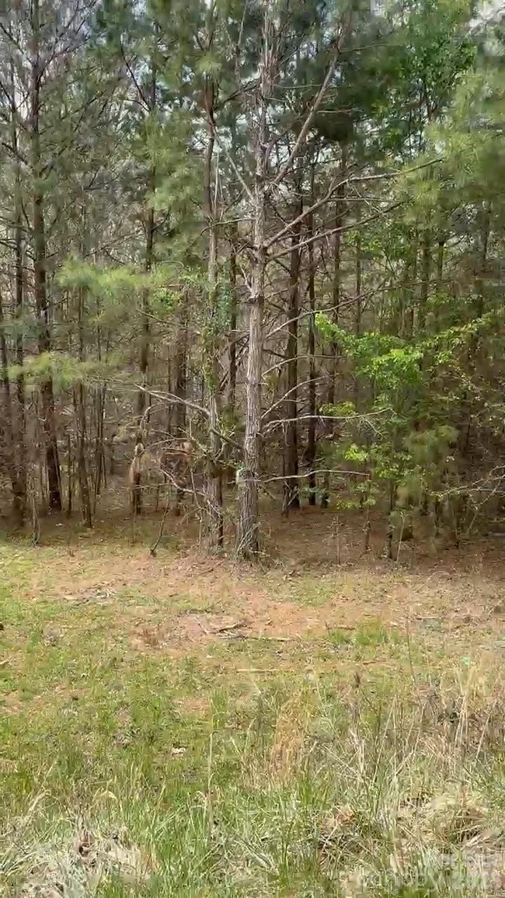 Property at 117 Church View, Lawndale, NC 28090