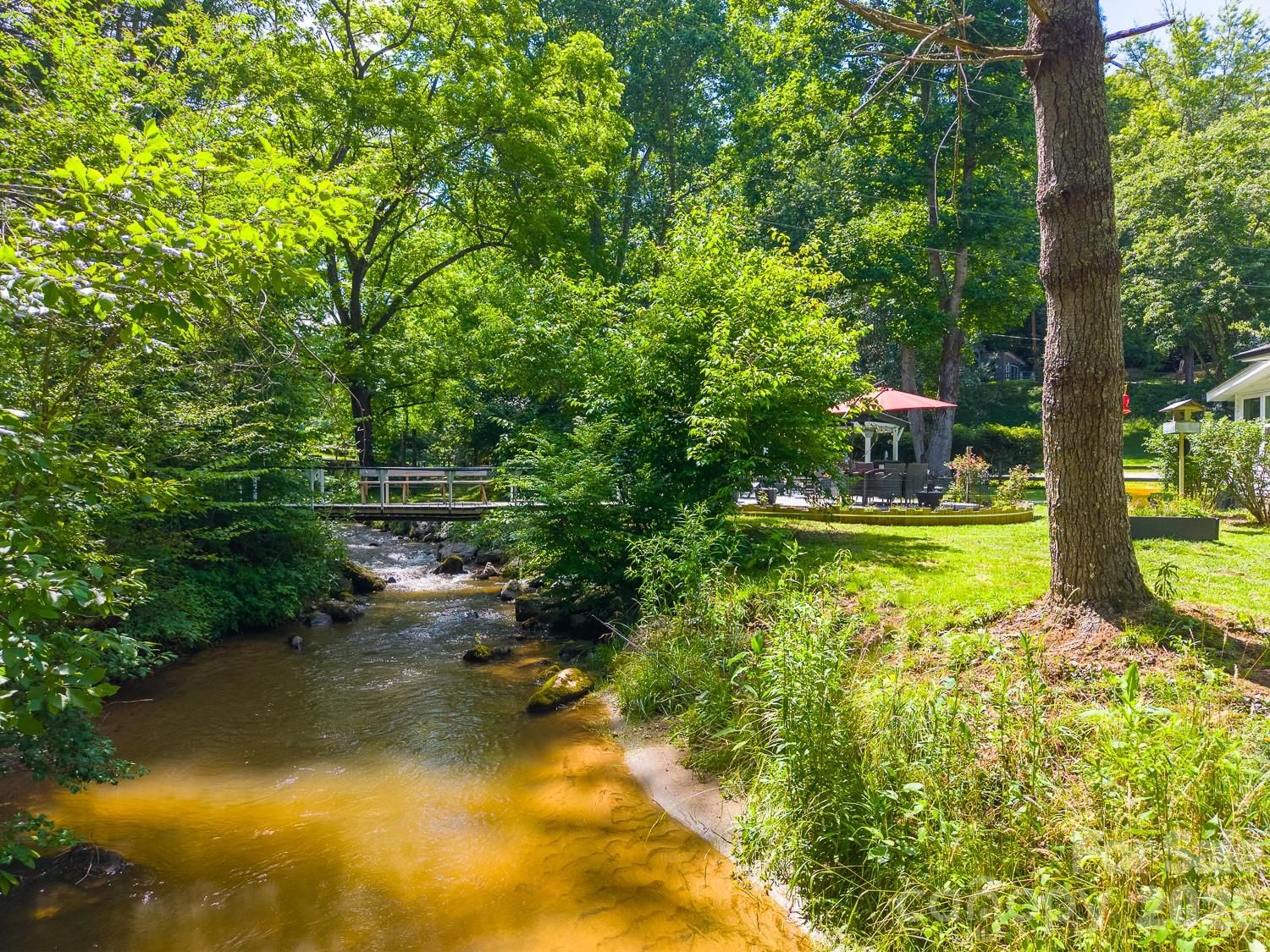 336 Greens Creek Road, Sylva, NC 28779 - Photo 3