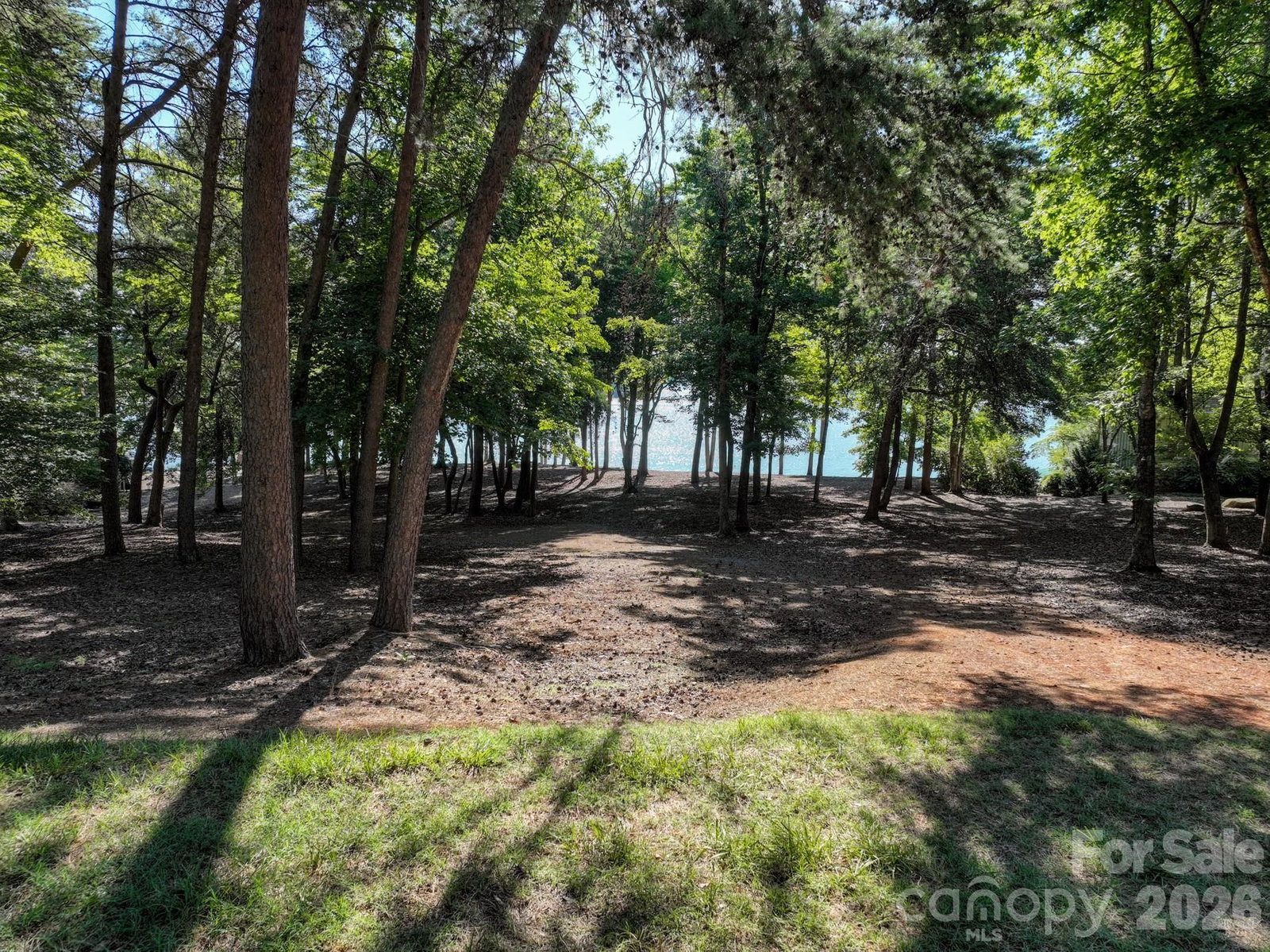 163 Flint Ridge Trail, New London, NC 28127 - Photo 5