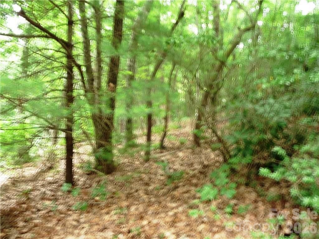 360 Kenmure Drive #4, Flat Rock, NC 28731 - Photo 3