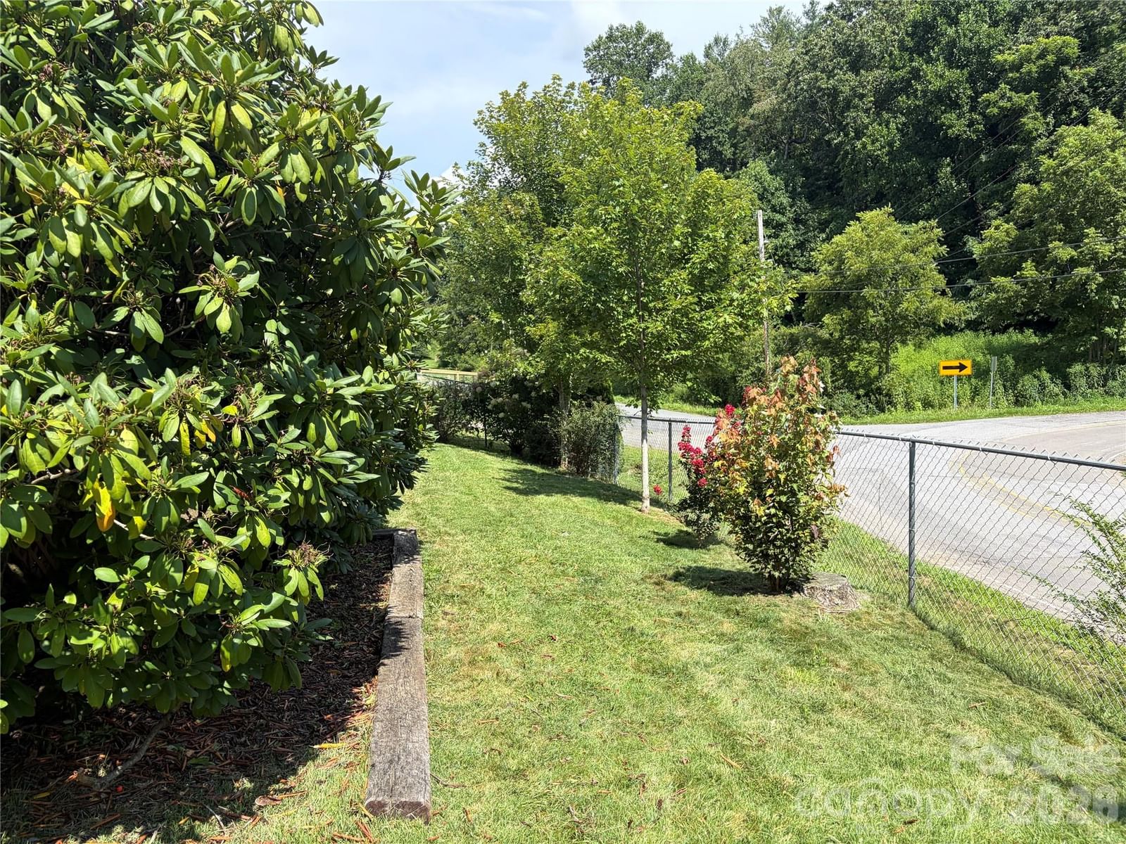 256A Bruce Road, Mars Hill, NC 28754 - Photo 3