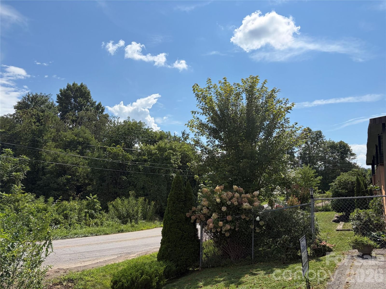 256A Bruce Road, Mars Hill, NC 28754 - Photo 4