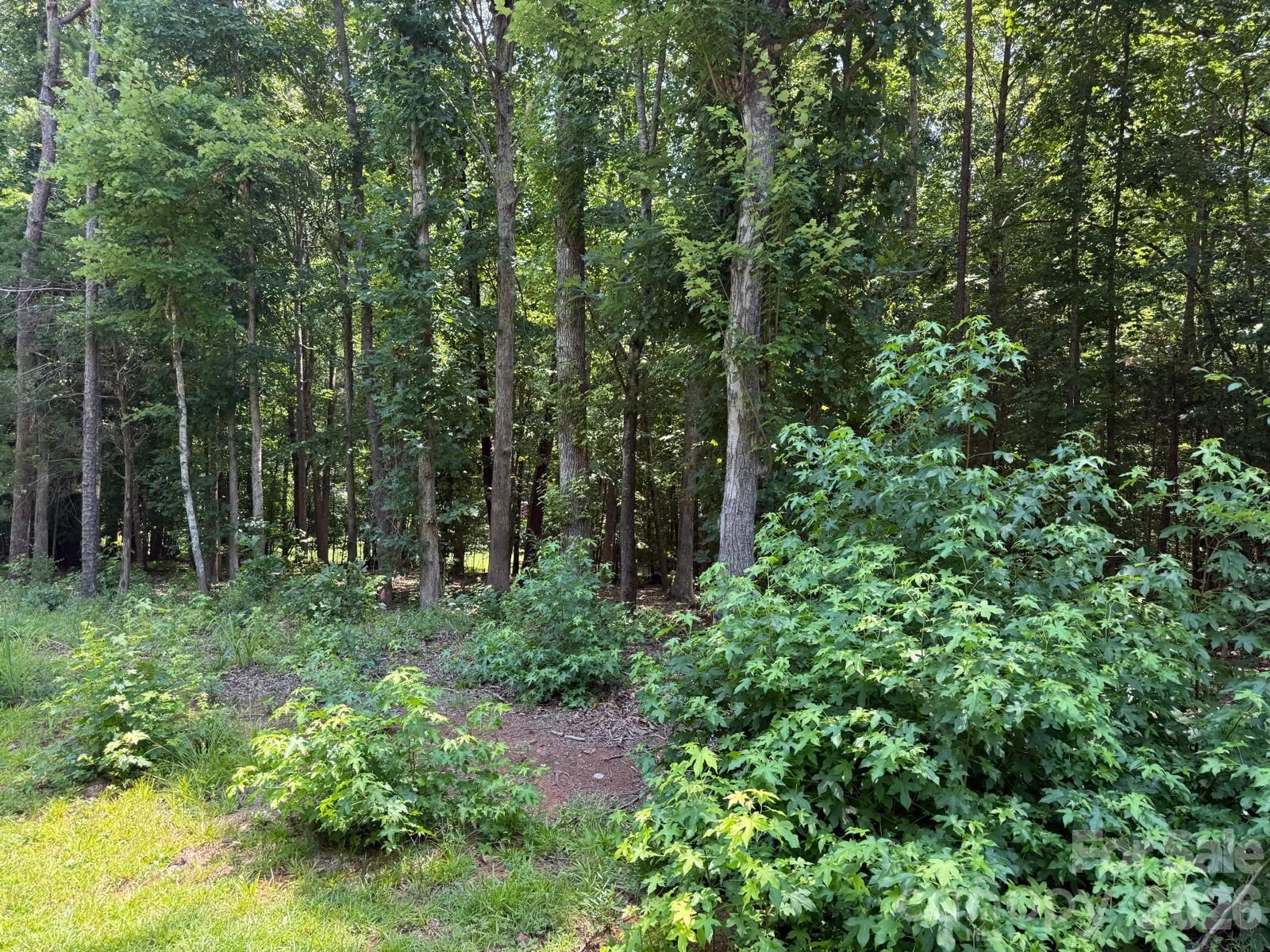 Property at 3207 Regal Oak Drive, Waxhaw, NC 28173