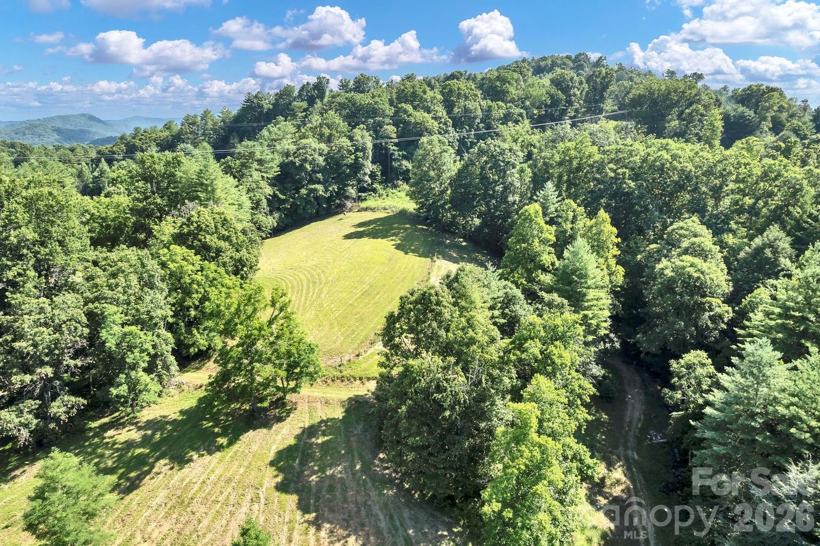 284 Paul Gosnell Road, Marshall, NC 28753 - Photo 3