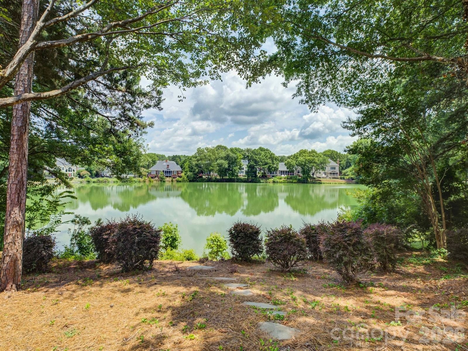 10119 Victoria Mill Court, Charlotte, NC 28277 - Photo 3
