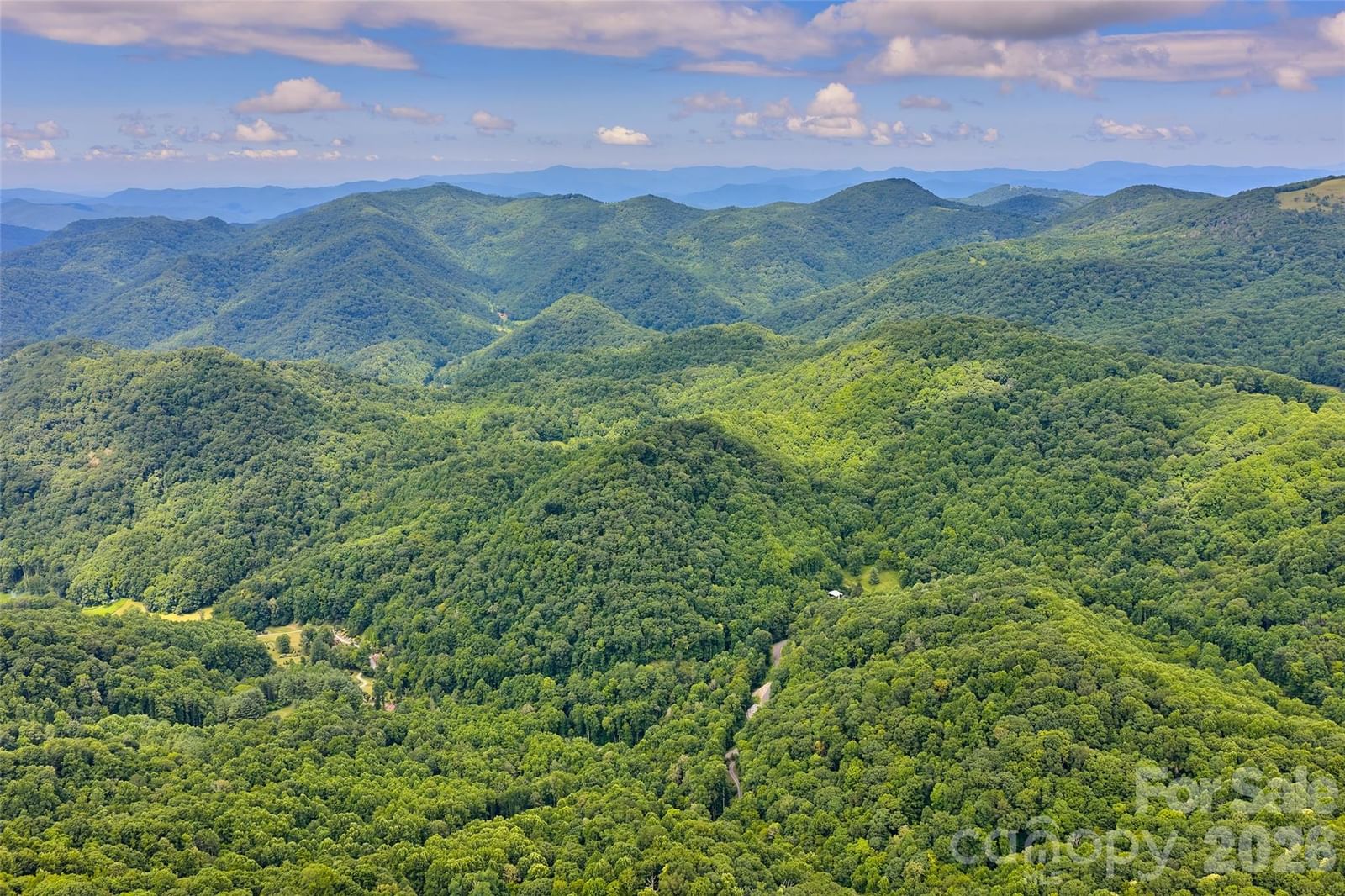 1482 Howard Moore Road, Hot Springs, NC 28743 - Photo 2