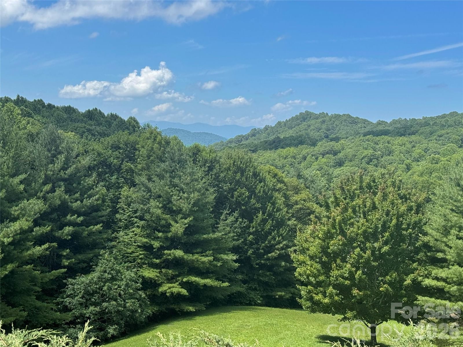 299 Basswood Road, Hot Springs, NC 28743 - Photo 2