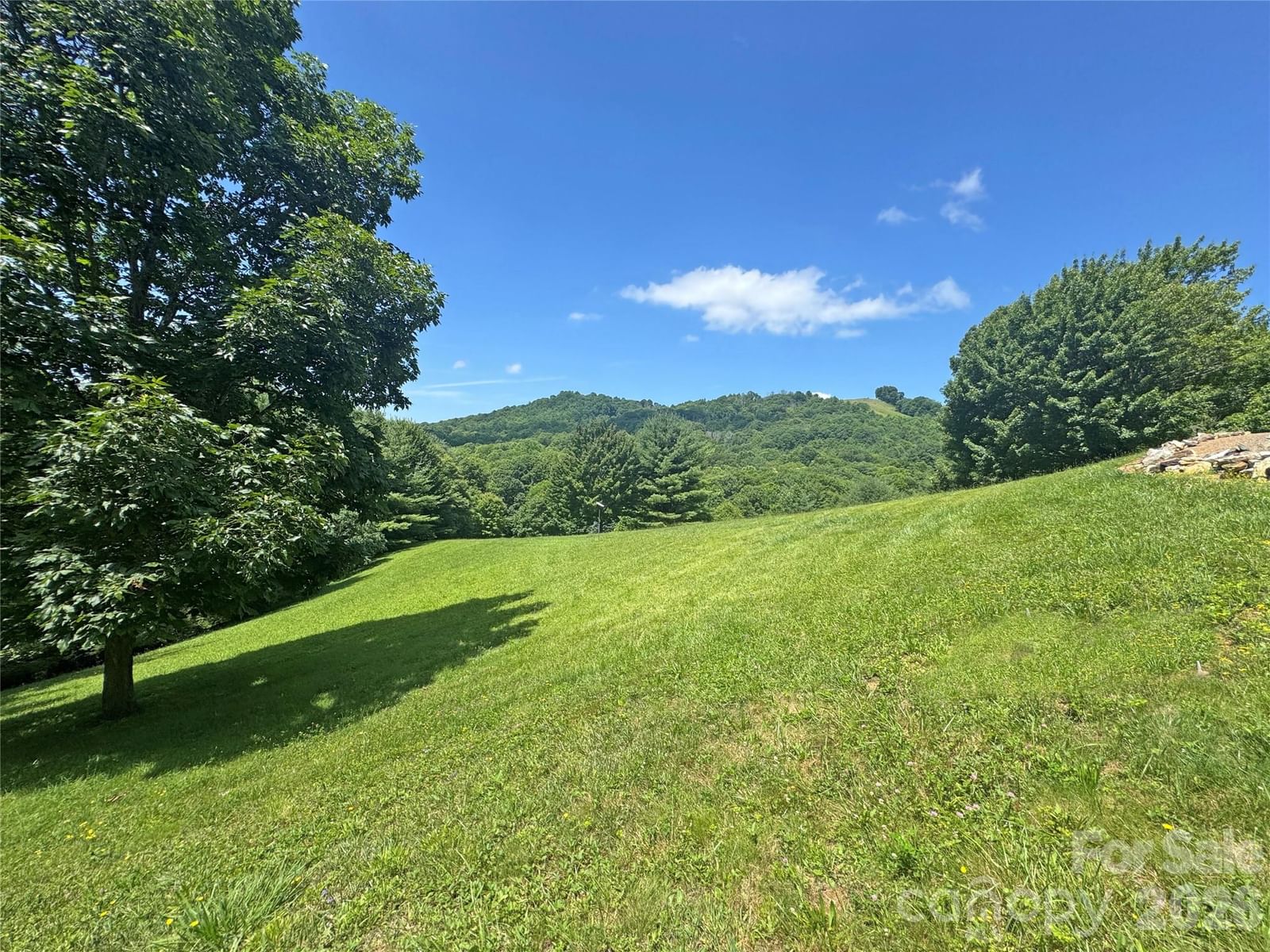 299 Basswood Road, Hot Springs, NC 28743 - Photo 3