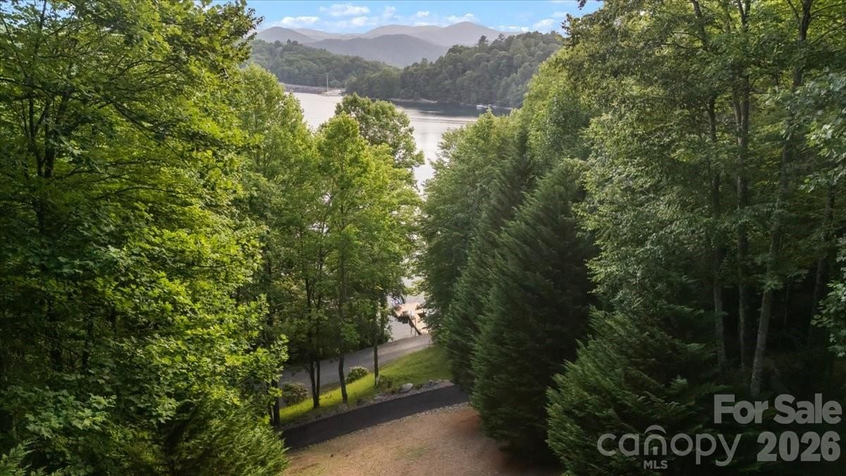 317 Von Trapp Lane, Tuckasegee, NC 28783 - Photo 4