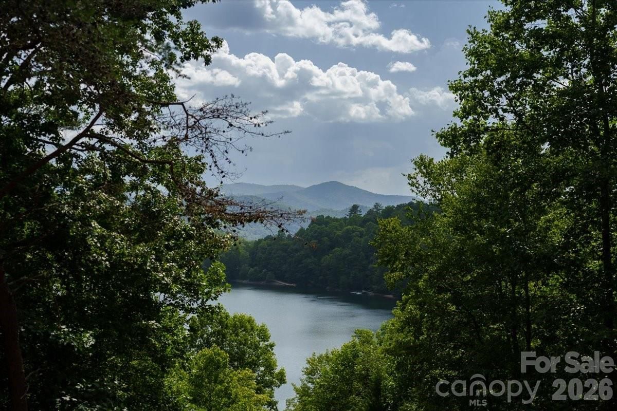 317 Von Trapp Lane, Tuckasegee, NC 28783 - Photo 5