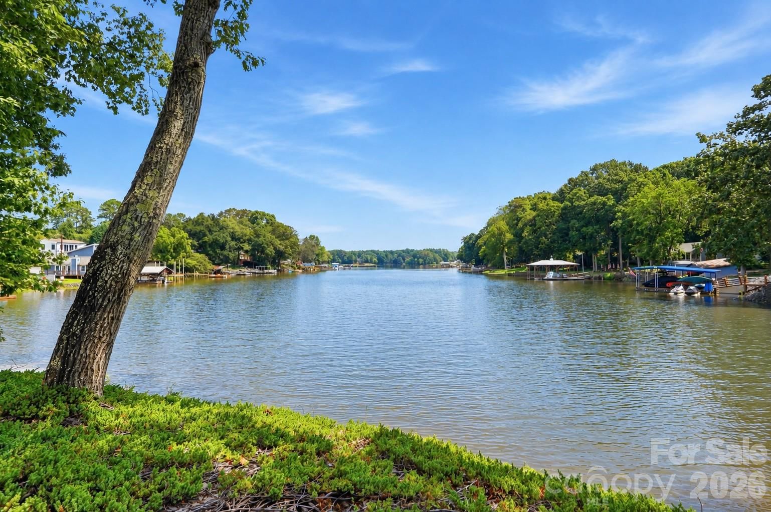 1075 Lakefront Woods Drive, Belmont, NC 28012 - Photo 3