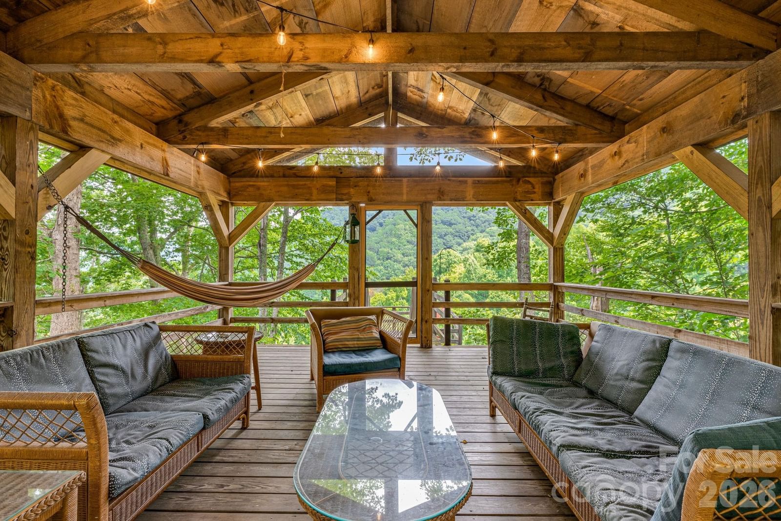 1390 Baltimore Branch Road, Hot Springs, NC 28743 - Photo 2