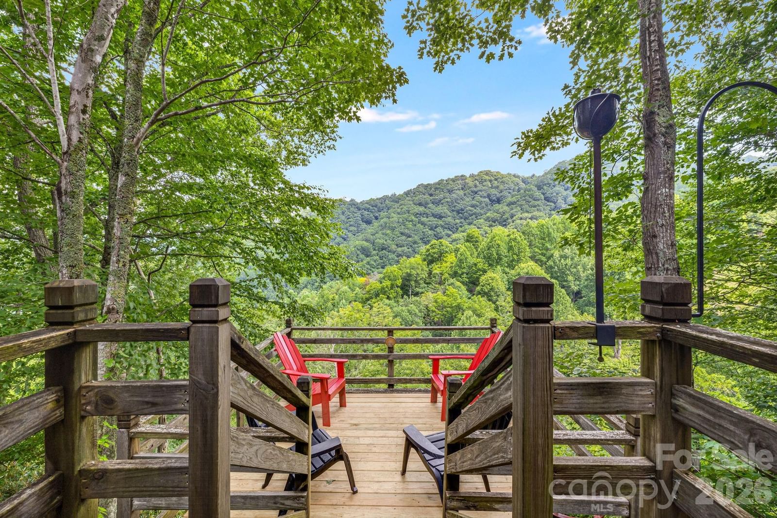 1390 Baltimore Branch Road, Hot Springs, NC 28743 - Photo 3