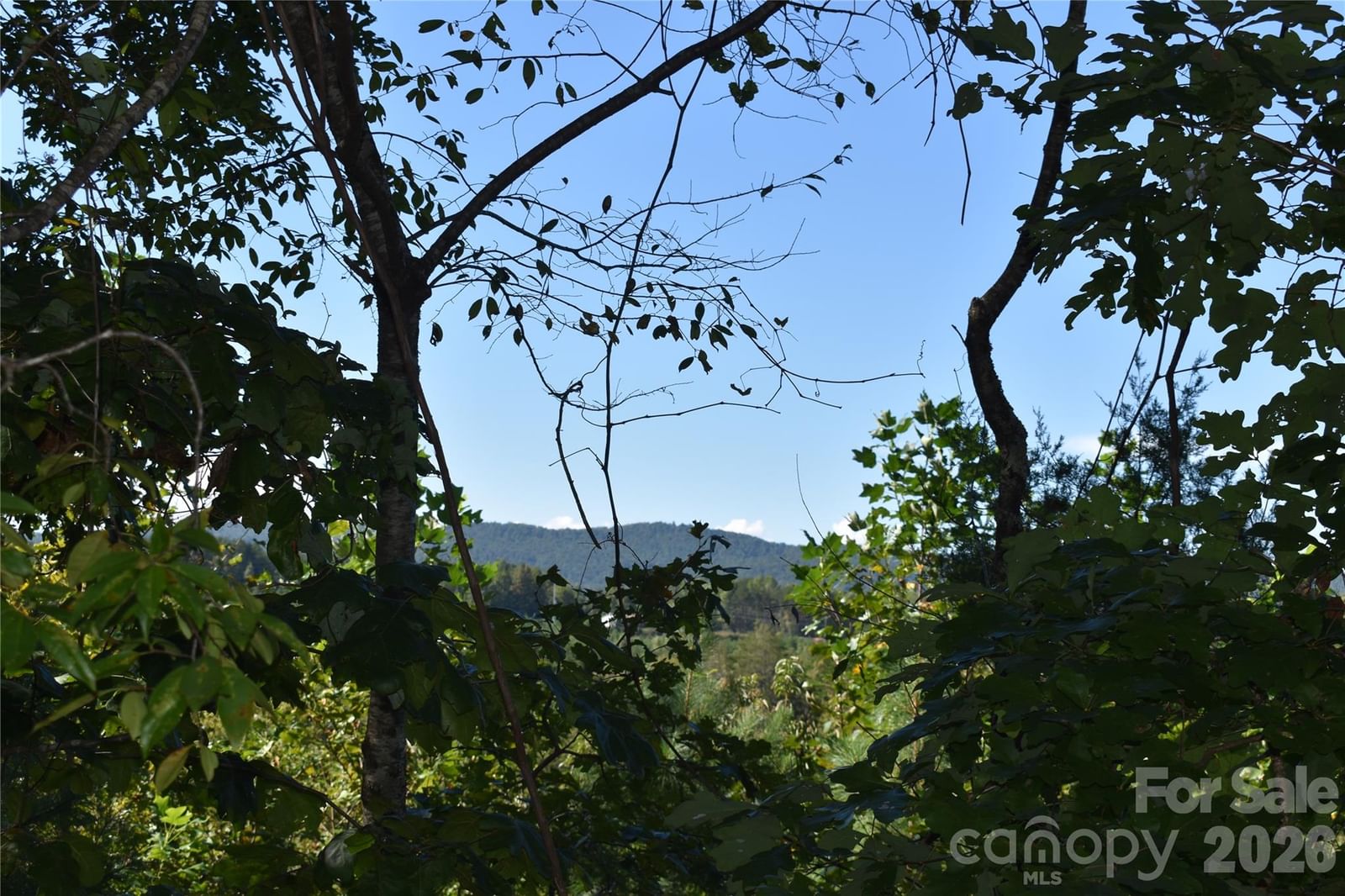 120 Woodmont Drive, Nebo, NC 28761