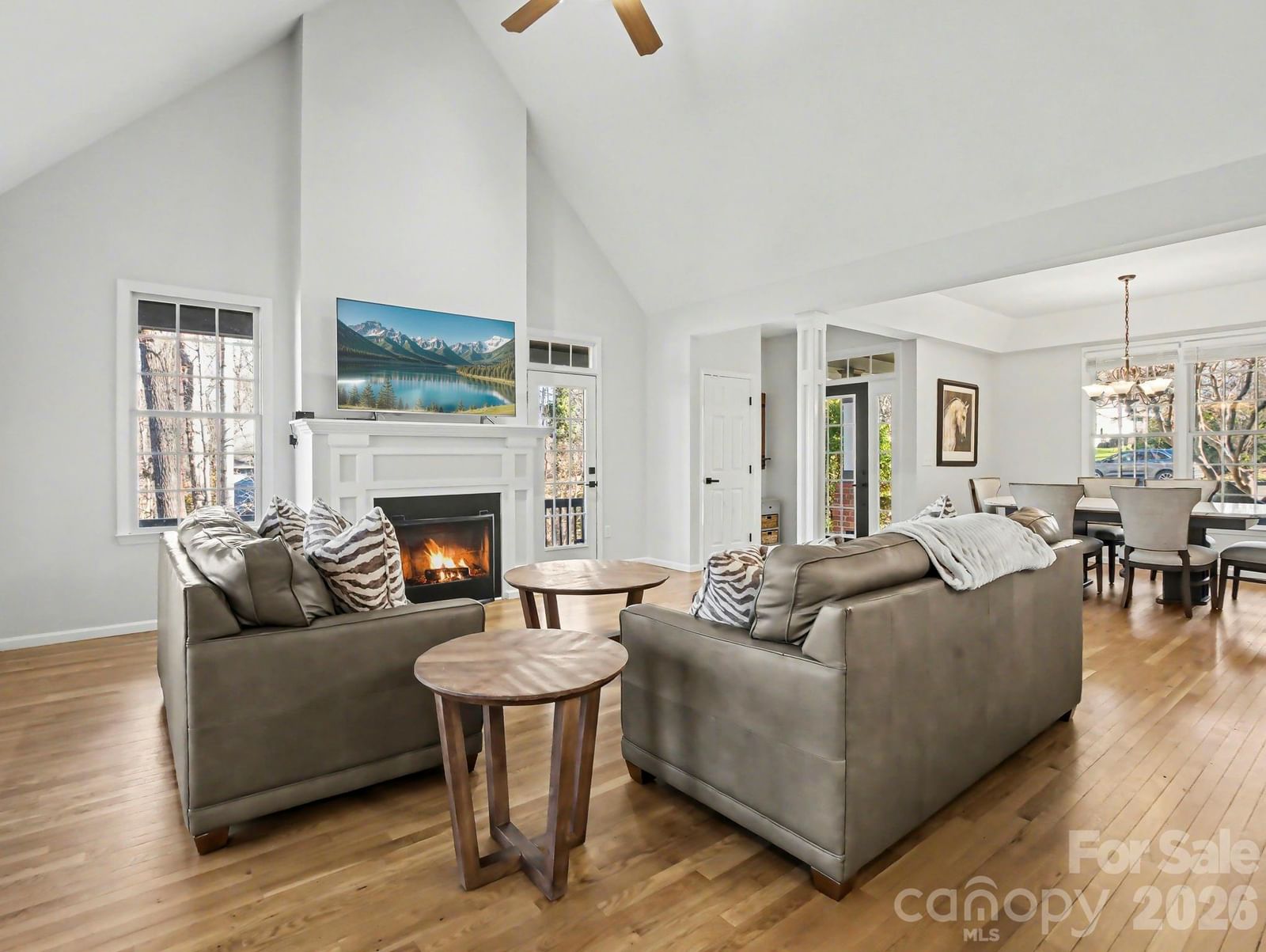 146 Major Fergusons Hill, Rutherfordton, NC 28139 - Photo 3