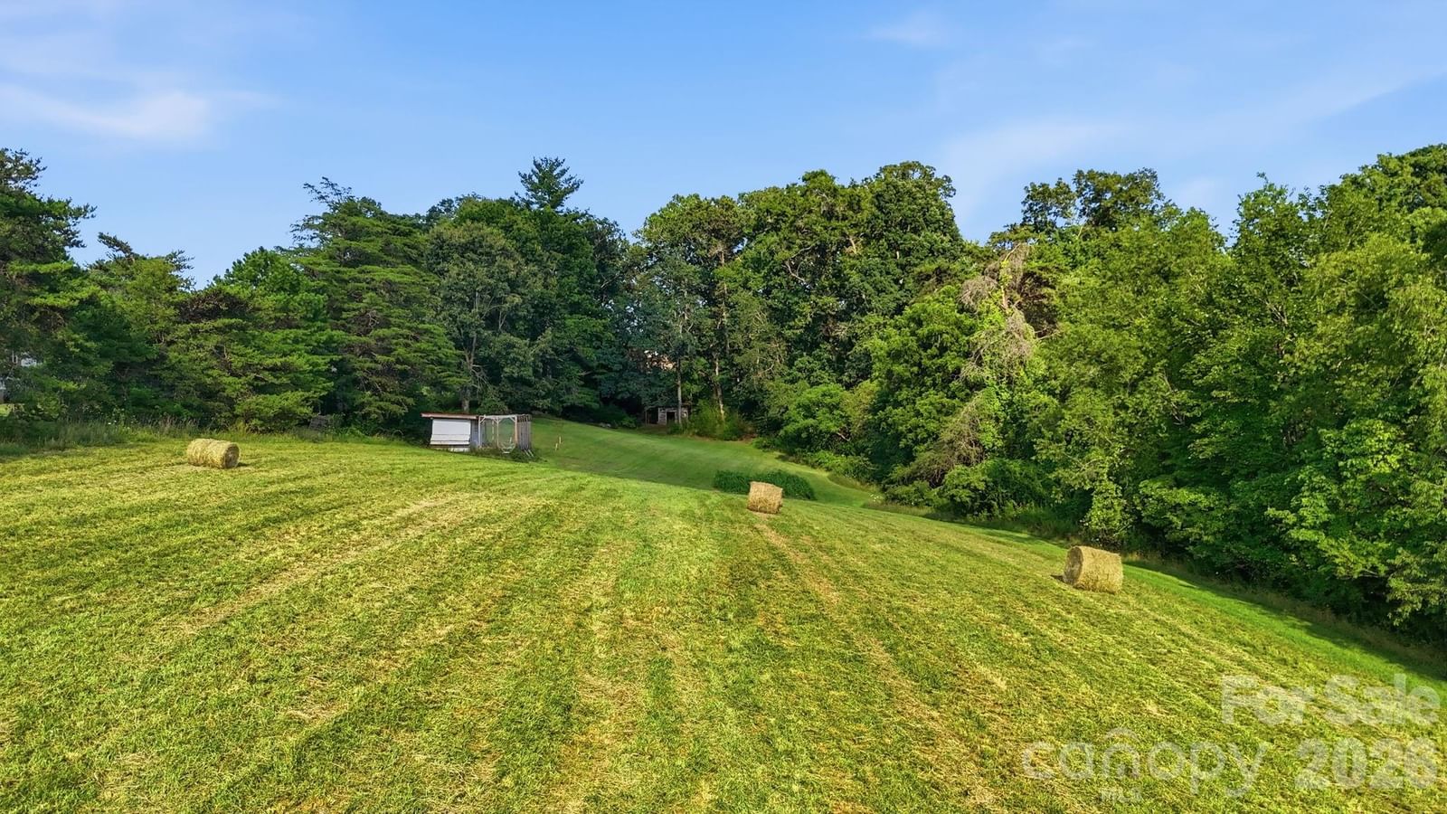 1686 Dutch Cove Road, Canton, NC 28716 - Photo 2