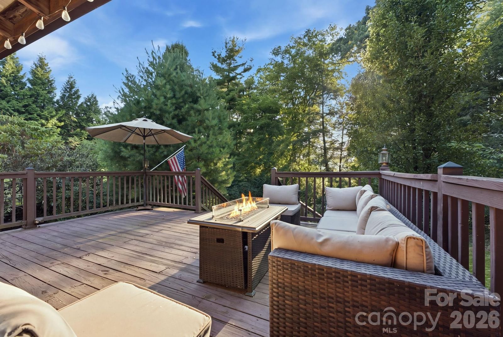 1686 Dutch Cove Road, Canton, NC 28716 - Photo 5