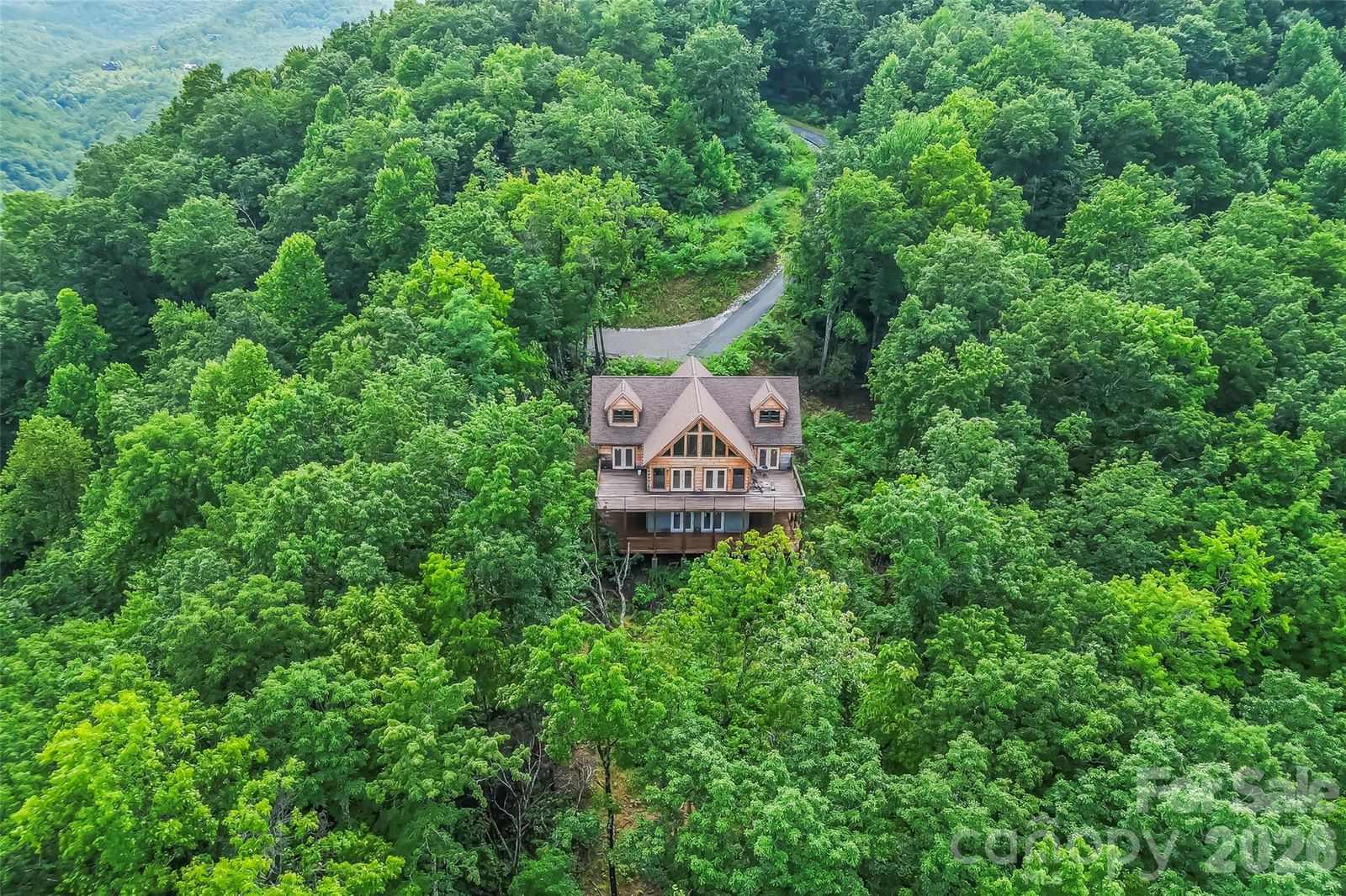 266 Potomac Falls Drive, Black Mountain, NC 28711 - Photo 3