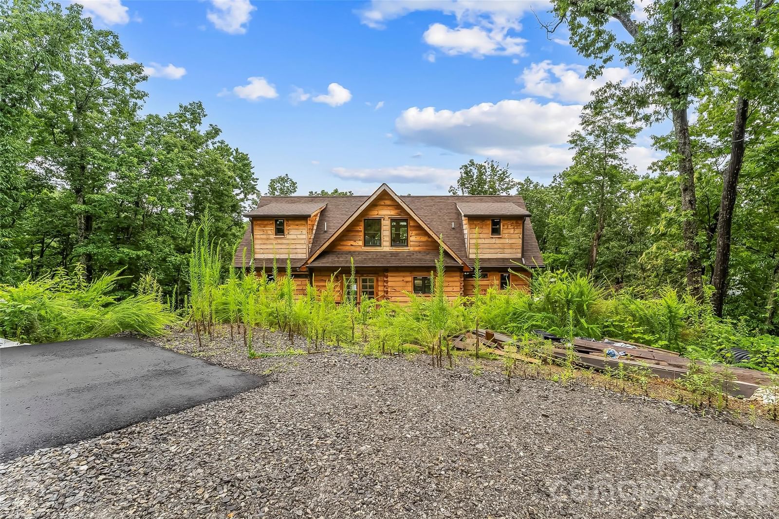 266 Potomac Falls Drive, Black Mountain, NC 28711 - Photo 5