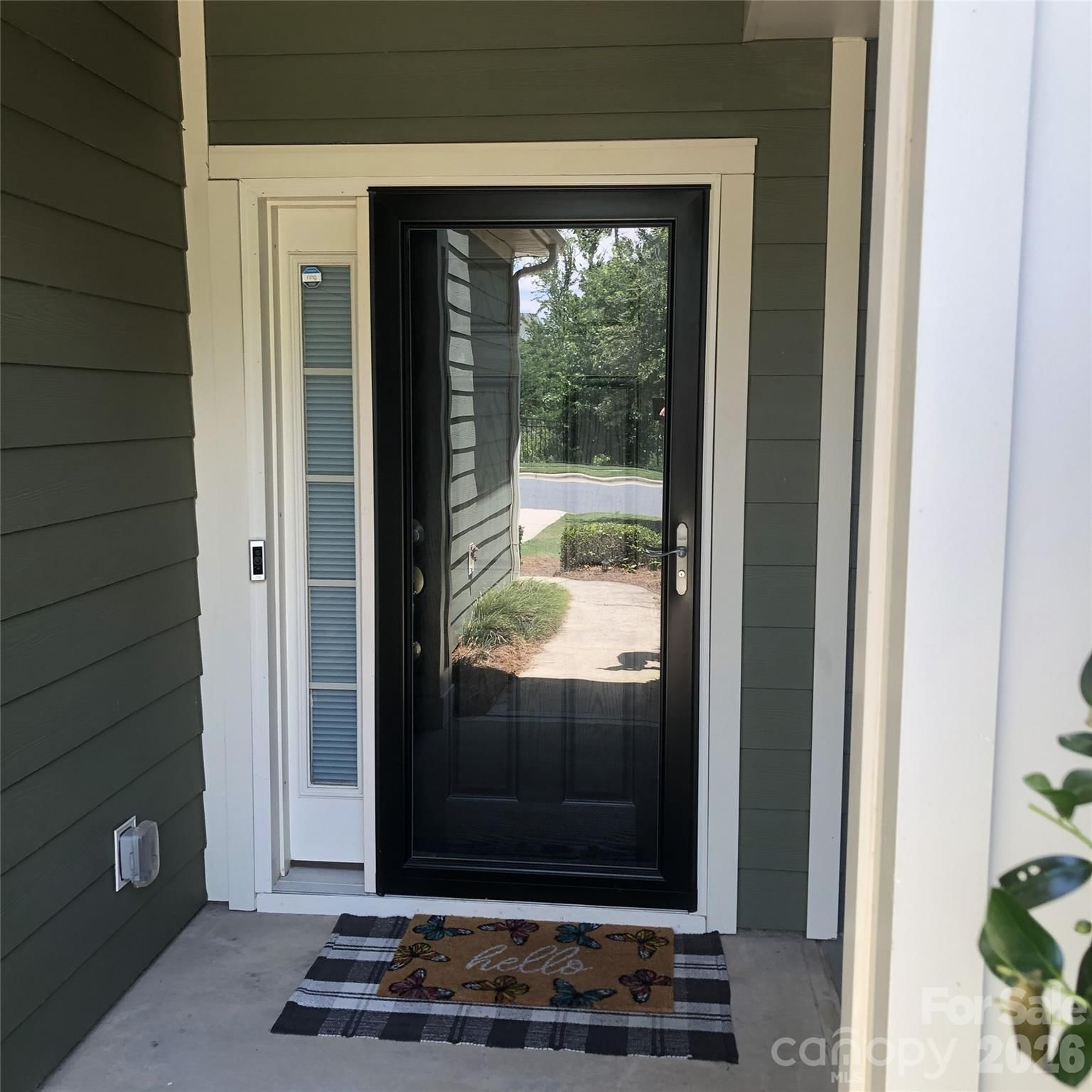 223 Butterfly Place, Fort Mill, SC 29708 - Photo 2