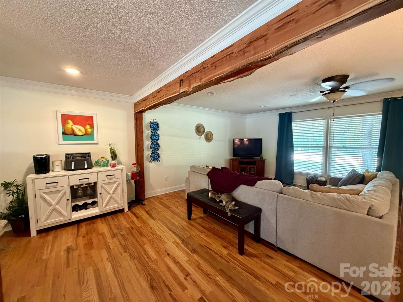 106 Outen Street, Pageland, SC 29728 - Photo 3