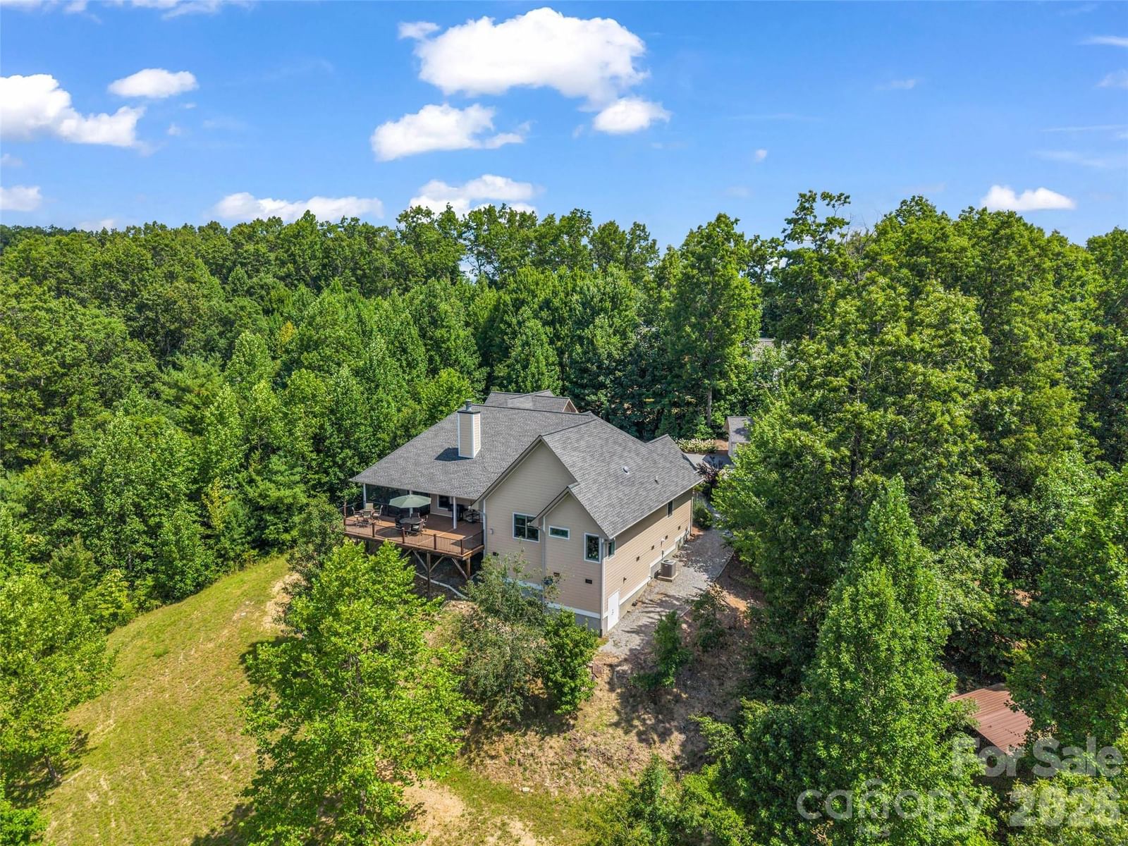 930 Big Raven Lane, Saluda, NC 28773 - Photo 5