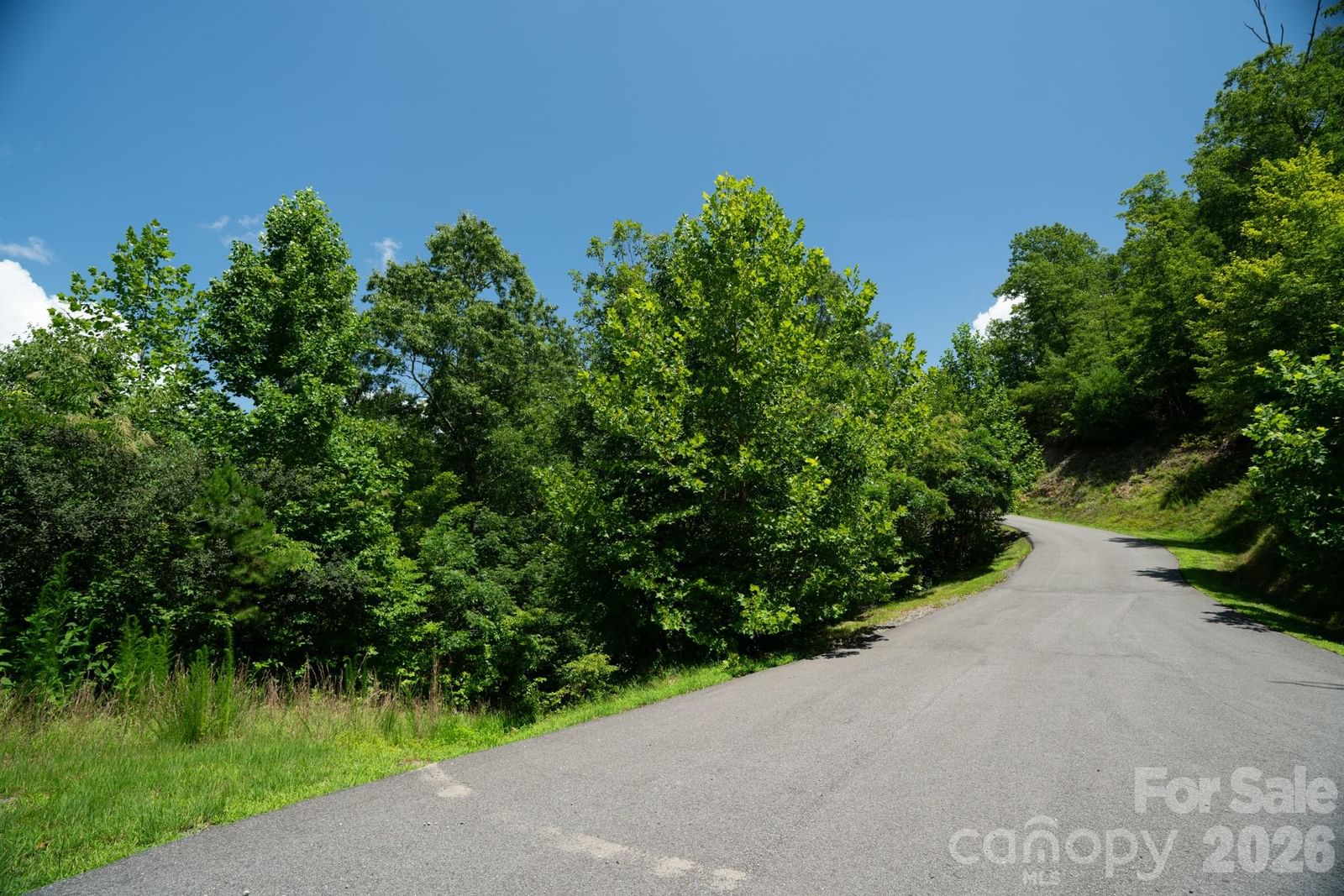 230 White Rapid Road #35, Marshall, NC 28753 - Photo 3