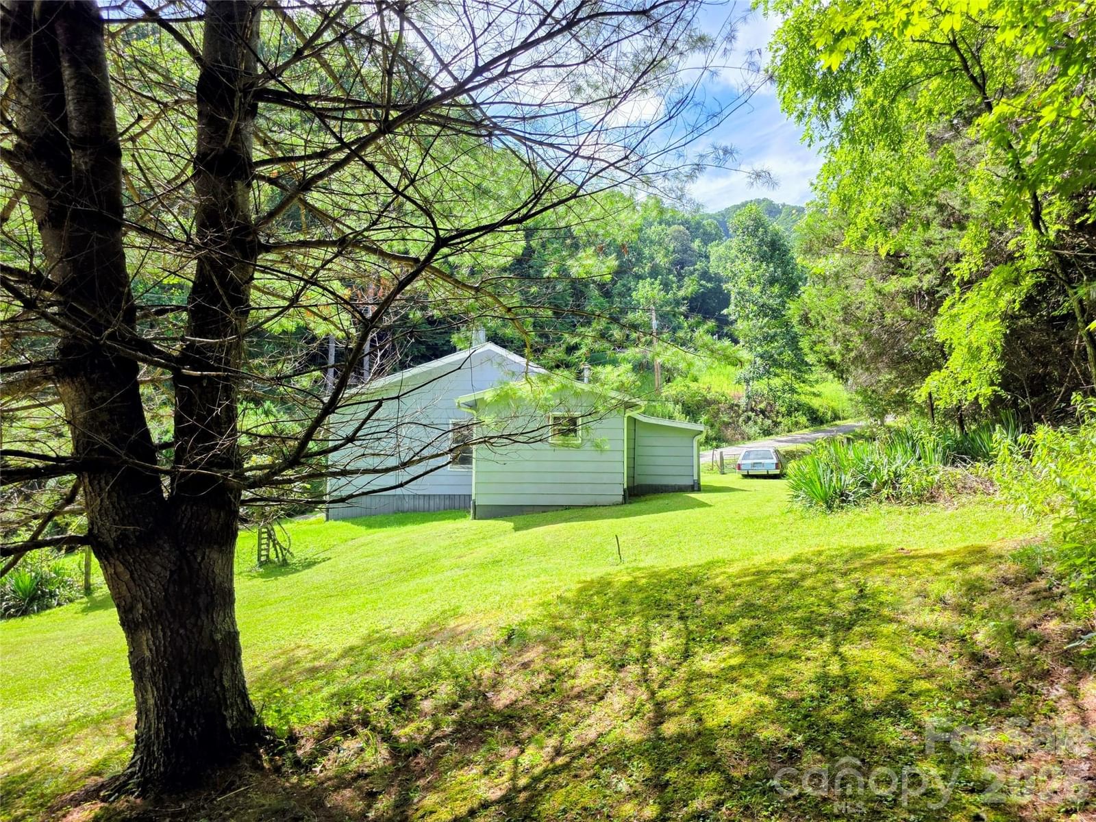 98 Will Wilson Road, Burnsville, NC 28714 - Photo 5