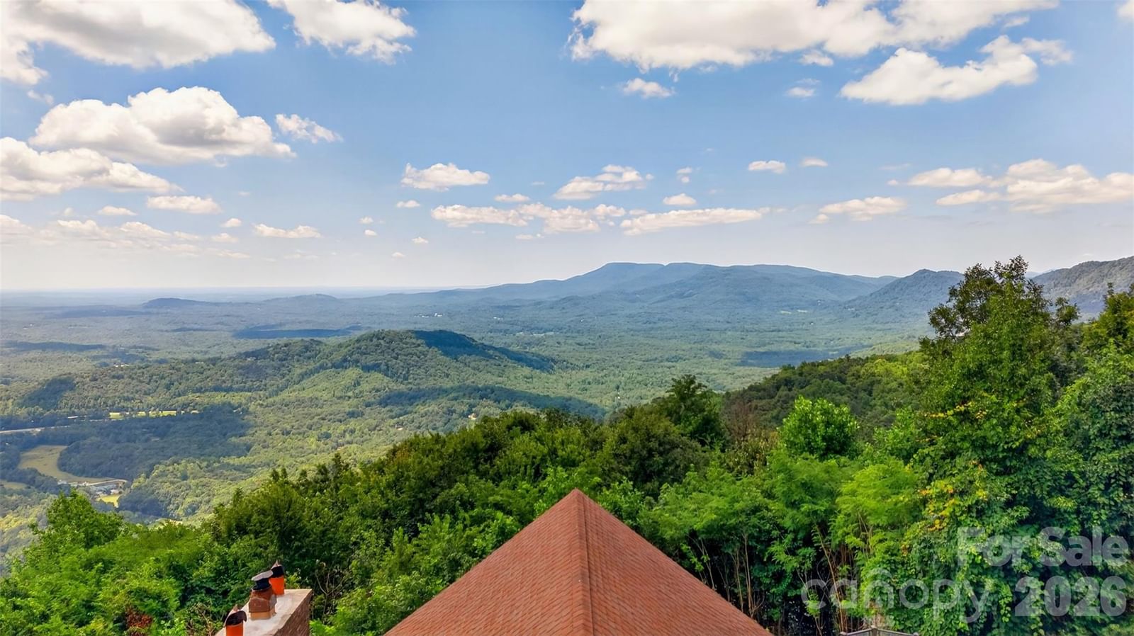 370 Mountain Side Drive, Columbus, NC 28722 - Photo 4