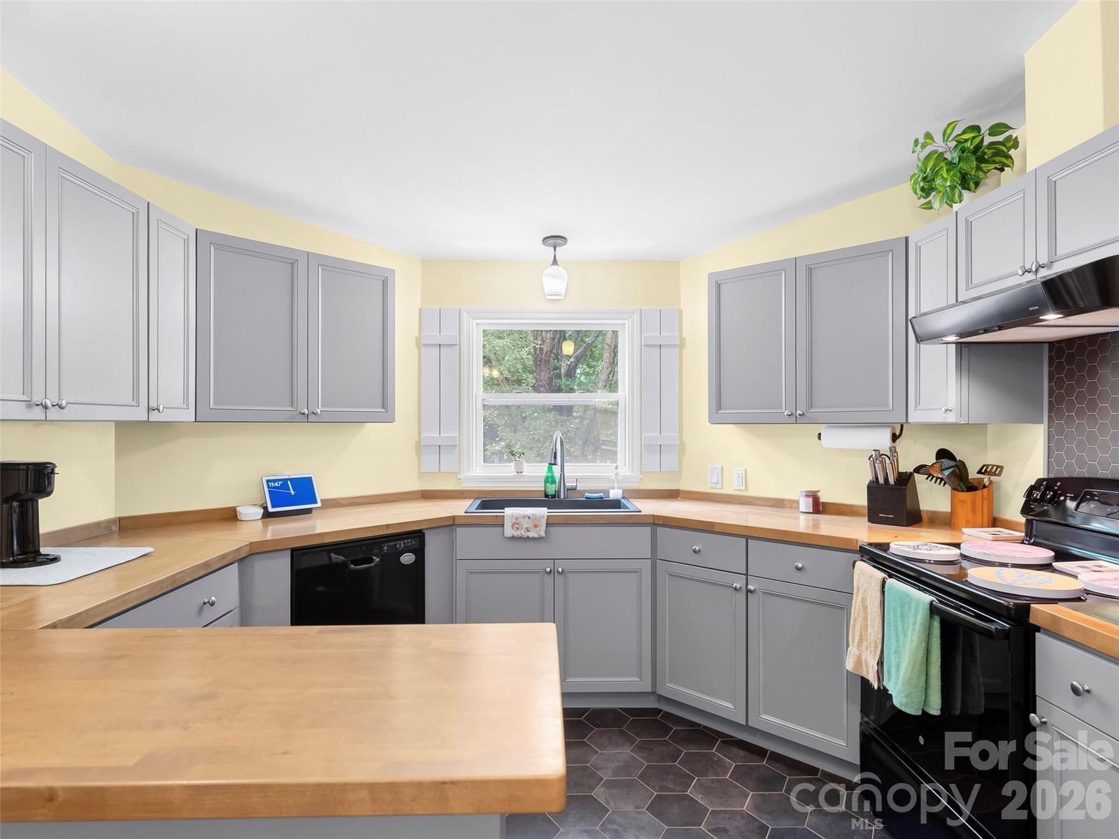 32 Reeves Road, Leicester, NC 28748 - Photo 4