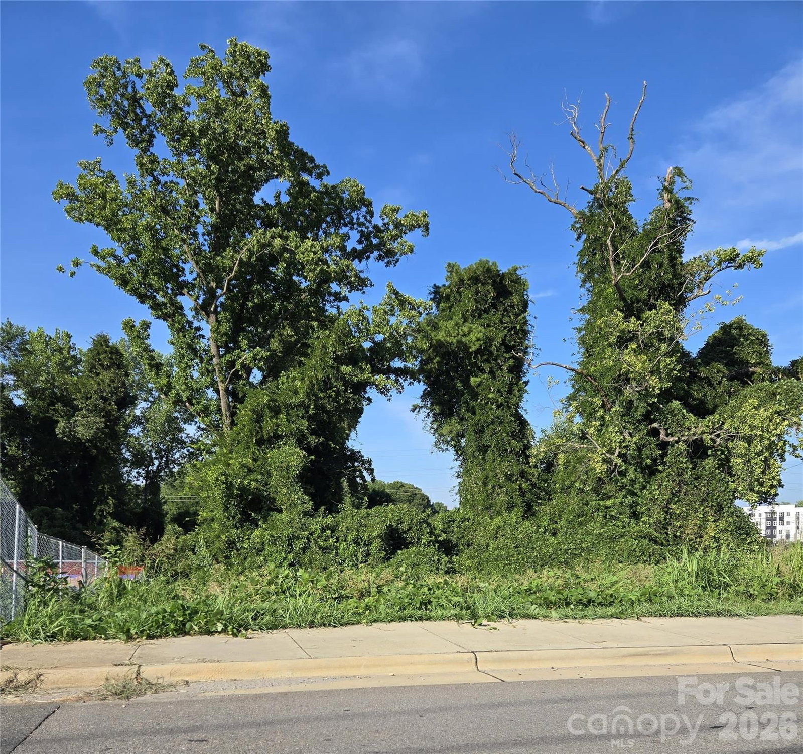 Property at 204 W 28th Street, Charlotte, NC 28206
