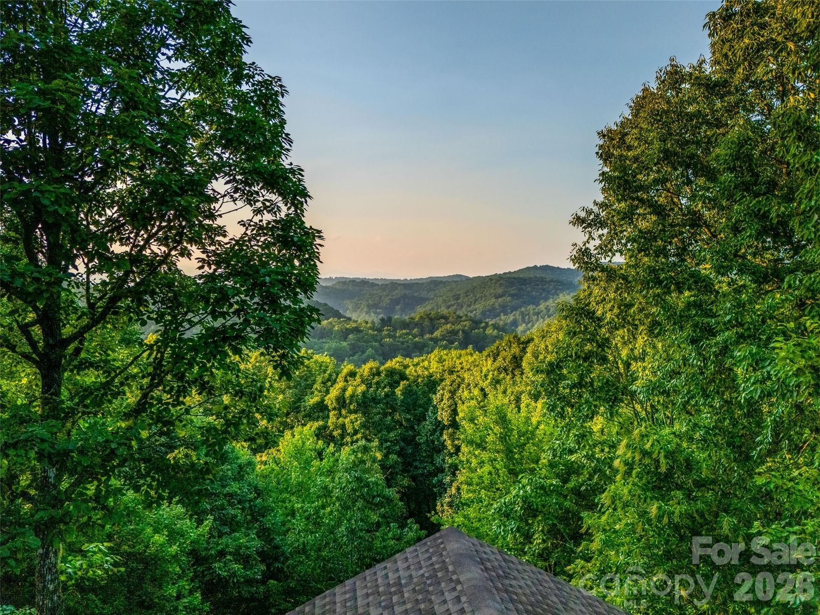 20 Adohi Court, Brevard, NC 28712 - Photo 4