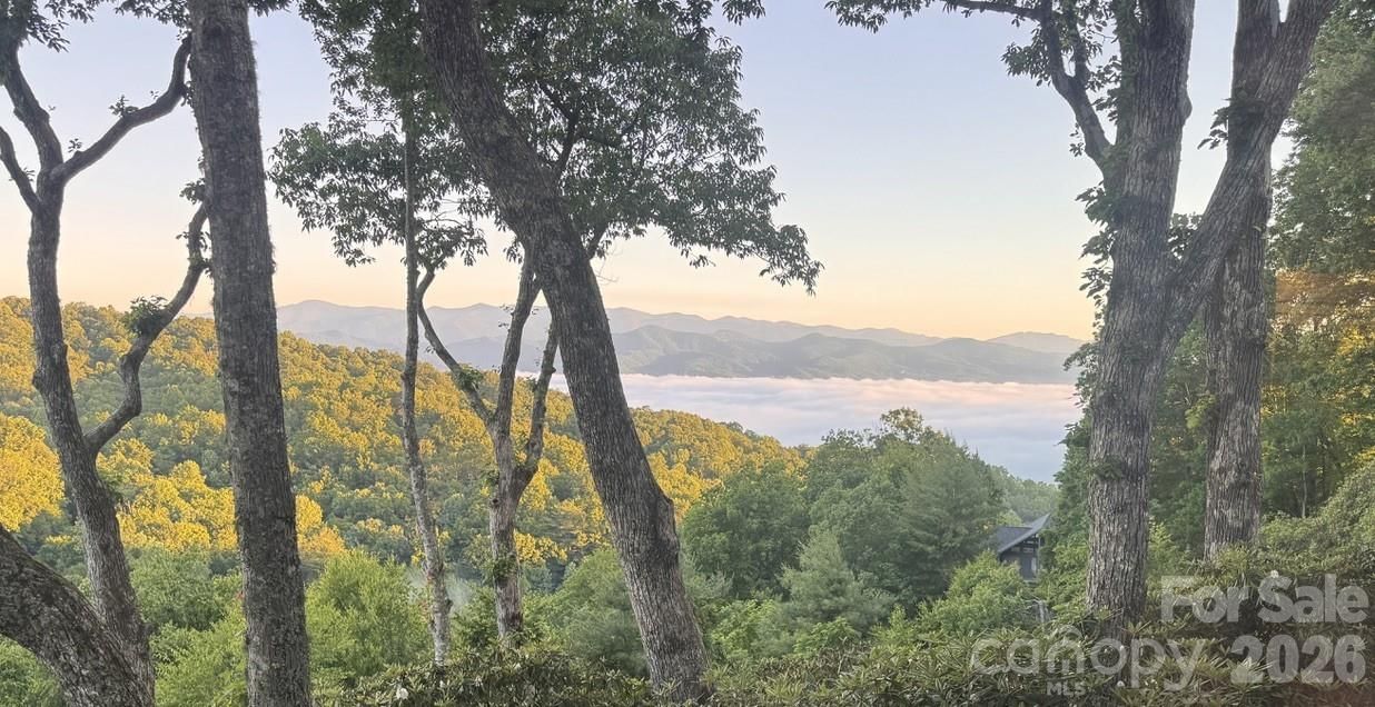 298 Tinequa Drive, Brevard, NC 28712