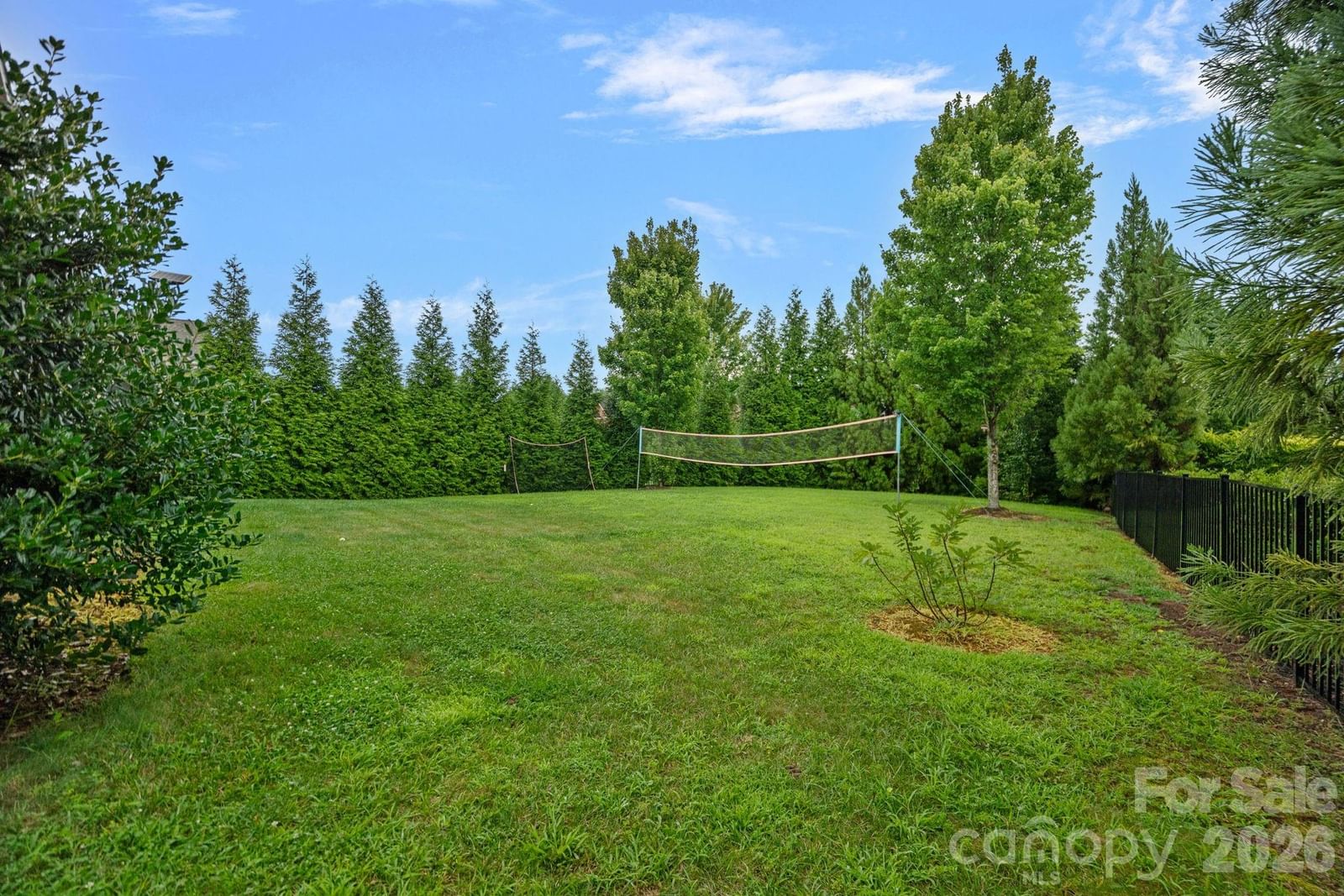 8211 Caesars Head Drive, Waxhaw, NC 28173 - Photo 5