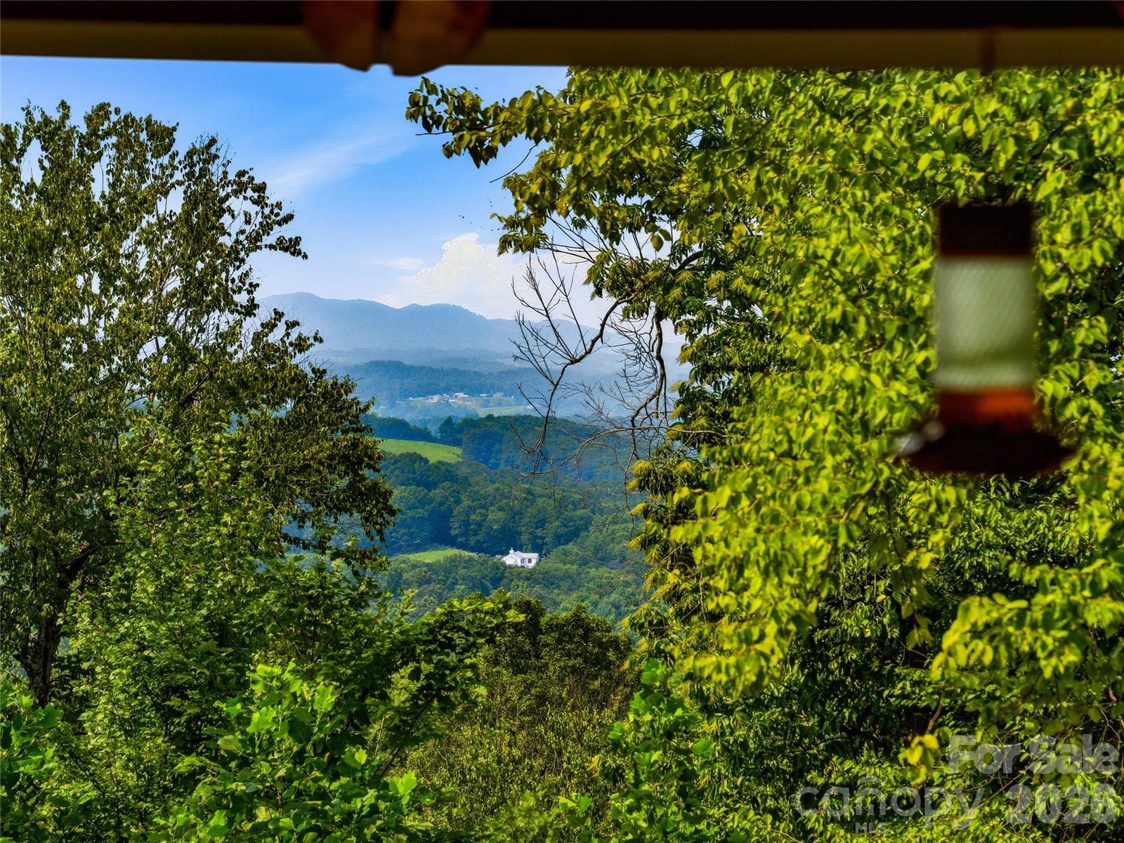 226 High Top Mountain Road, Leicester, NC 28748 - Photo 2