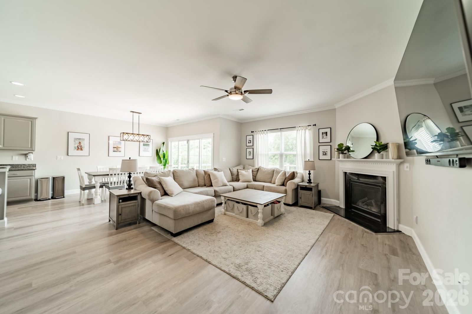 10003 Blue Stream Lane, Indian Trail, NC 28079 - Photo 5