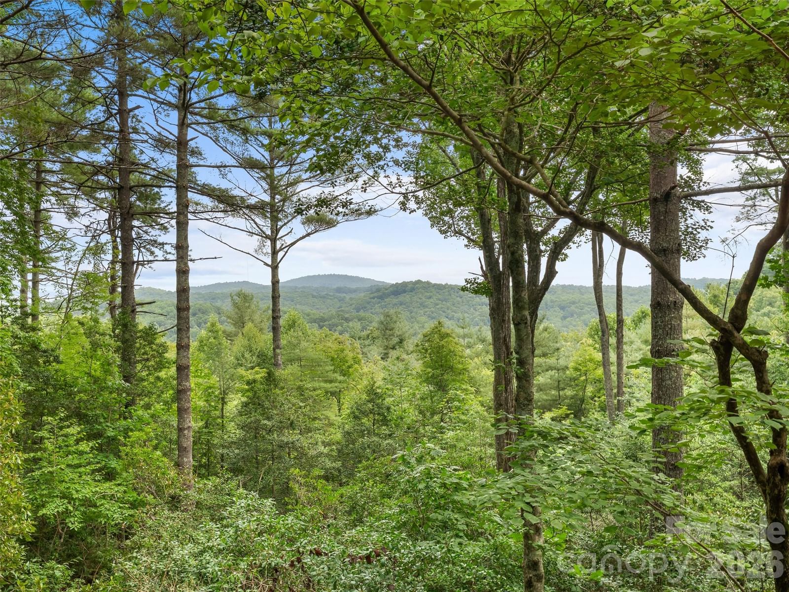 32 Uloque Court, Brevard, NC 28712 - Photo 2